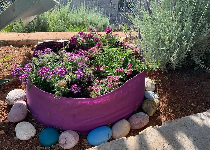 Alojamento de Acomodação e Pequeno-almoço Sto Spiti